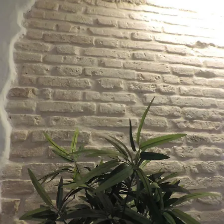 Apartament Nautilus